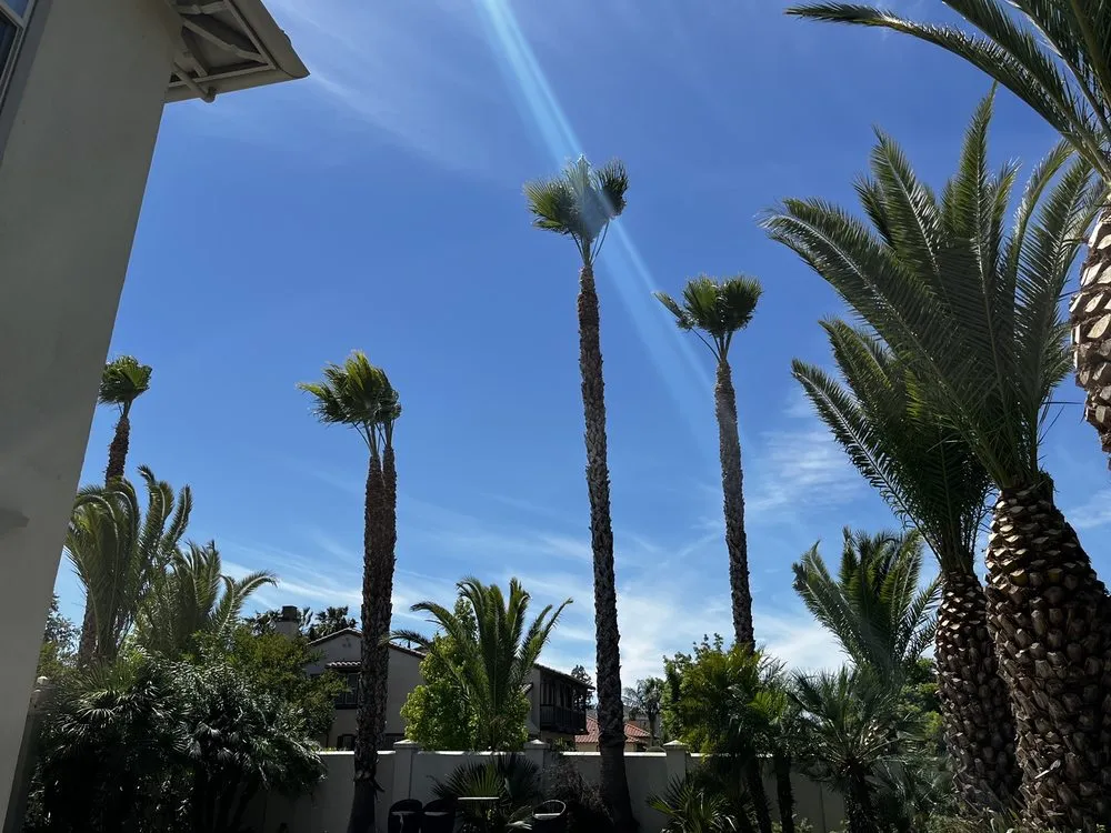 Reliable landscape installation in Tracy, CA by SSAW Tree & Gardening Services