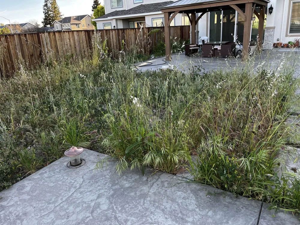 Affordable lawn care service near you across Tracy, CA - SSAW Tree & Gardening Services