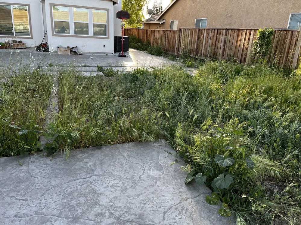 Expert lawn care service in Tracy, CA - SSAW Tree & Gardening Services