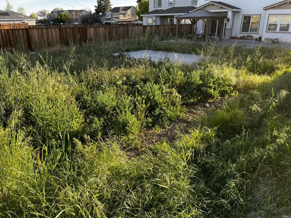 Reliable residential landscaping in Tracy, CA by SSAW Tree & Gardening Services