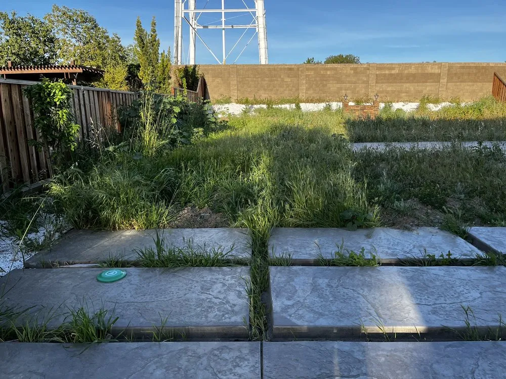 Trusted landscaping services with custom design across Tracy, CA - SSAW Tree & Gardening Services