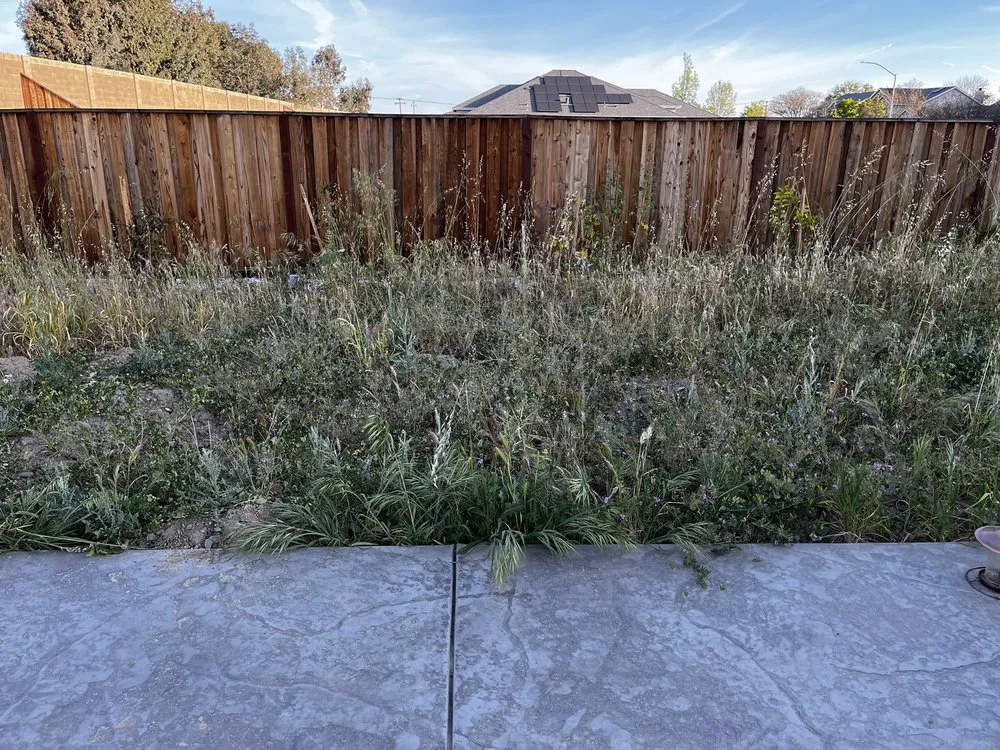 Custom landscaping services in Tracy, CA - SSAW Tree & Gardening Services