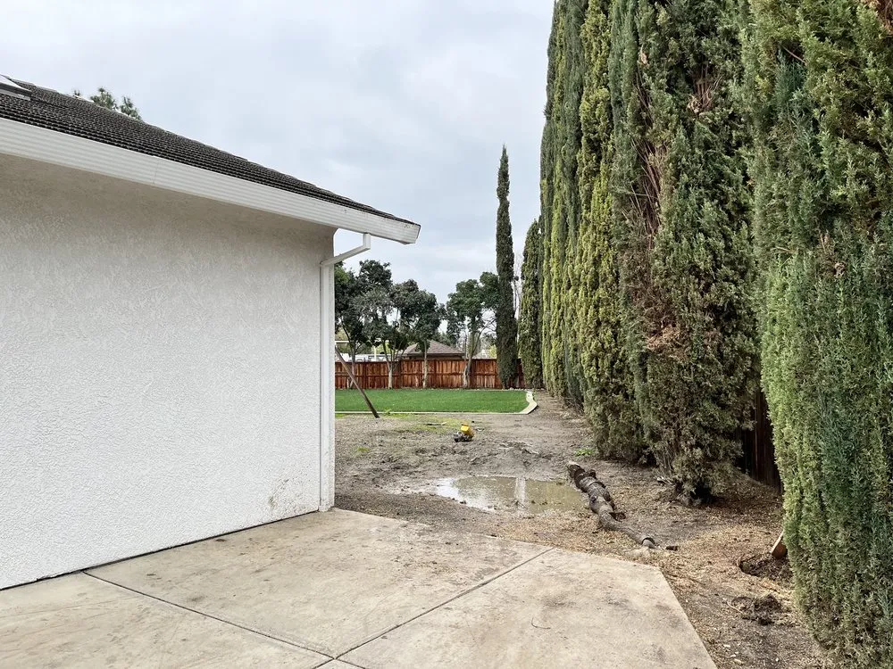 Local outdoor landscaping in Tracy, CA - SSAW Tree & Gardening Services