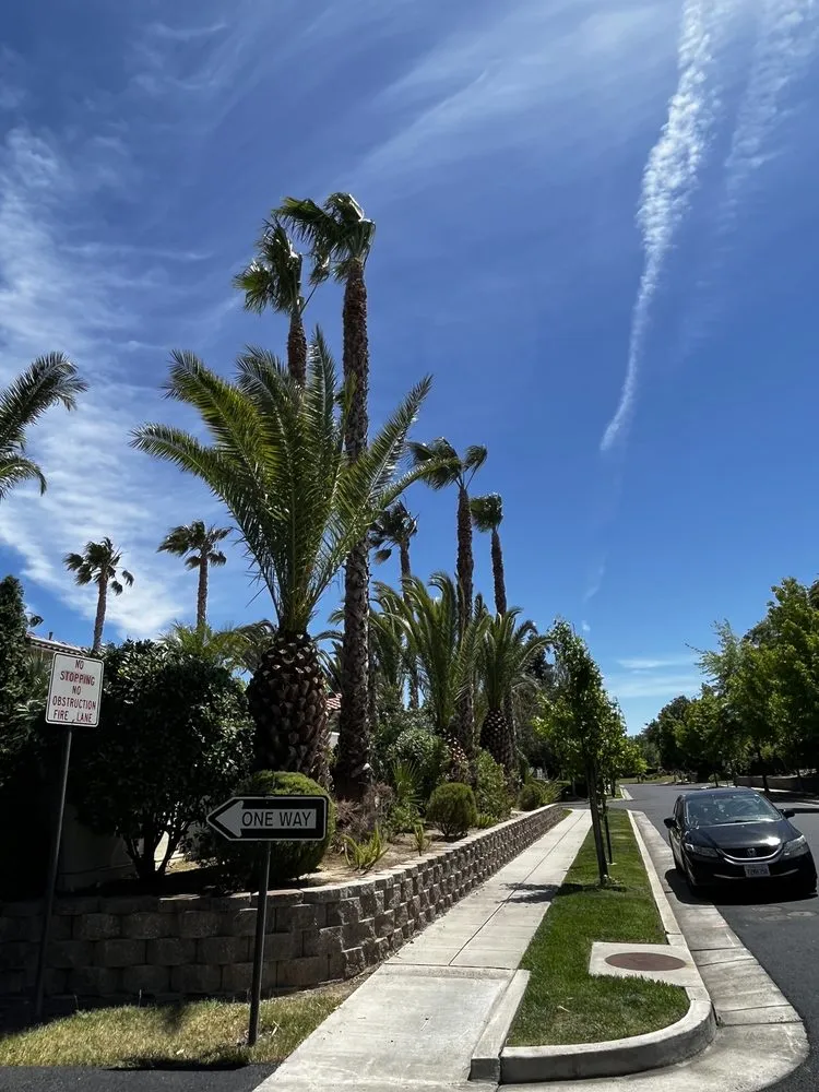 Top-rated landscape installation for outdoor upgrades in Tracy, CA by SSAW Tree & Gardening Services