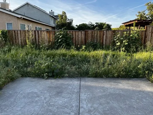 SSAW Tree & Gardening Services