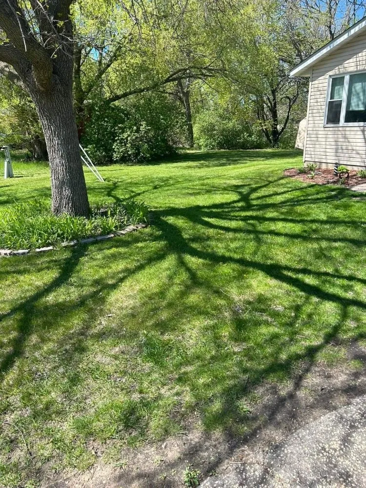 Local yard maintenance in Askov, MN - Ssc Lawn Care & Tree Removal