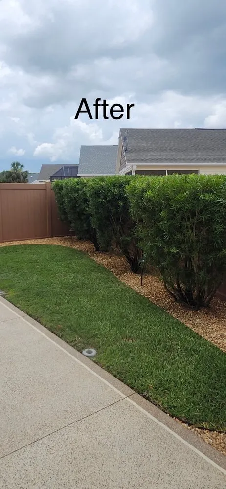 Expert yard maintenance in Summerfield, FL - SSE Pressure Washing & Home Services