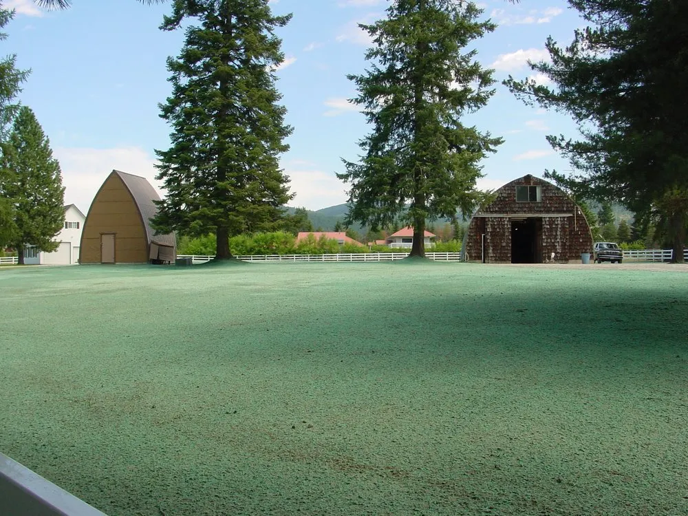 Local landscaping services in Rathdrum, ID - SSEC APEX