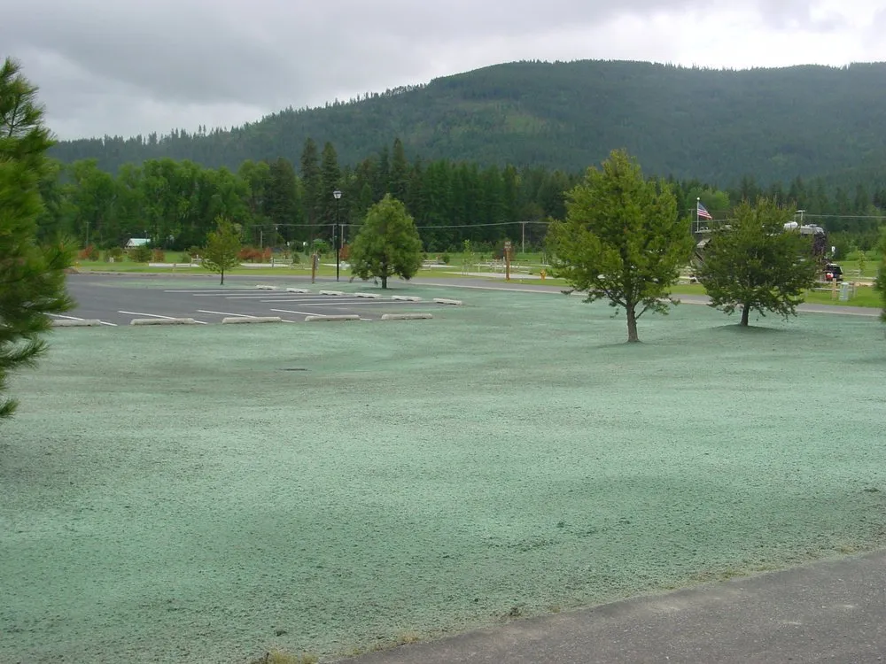 Local garden landscaping for residential properties across Rathdrum, ID - SSEC APEX