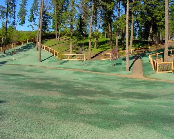 Local yard maintenance for outdoor upgrades in Rathdrum, ID by SSEC APEX