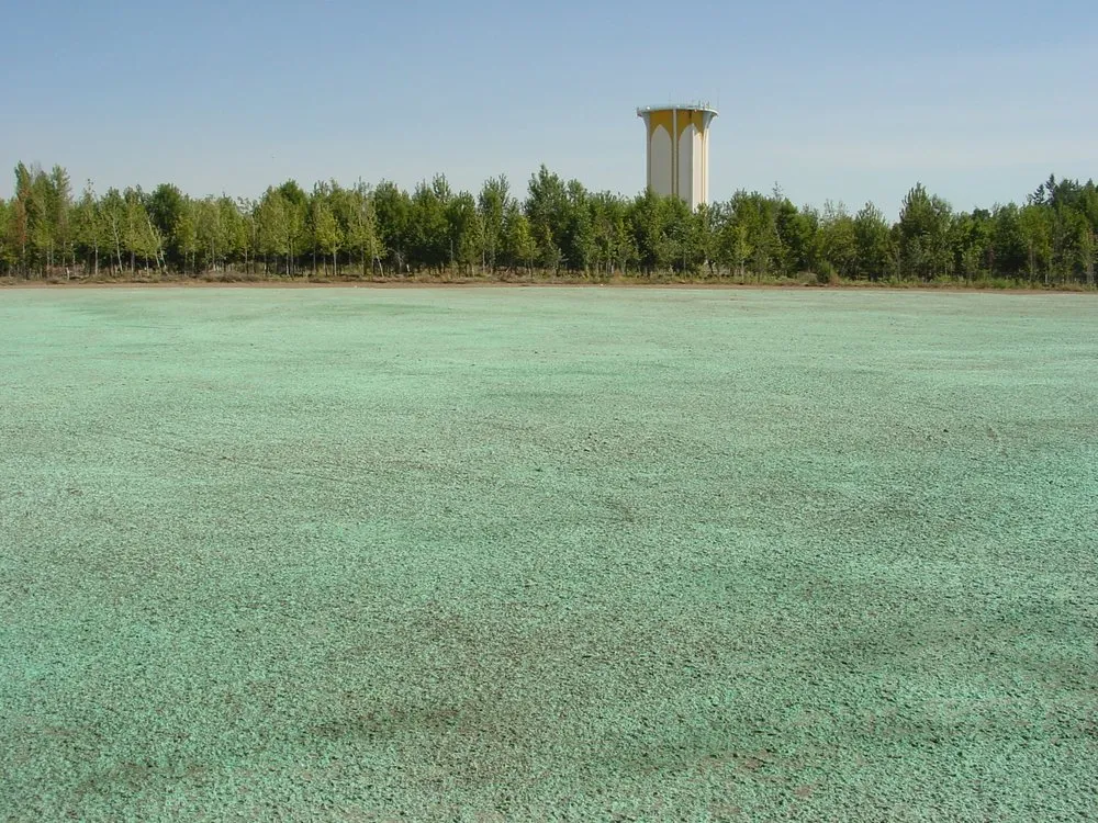 Expert yard cleanup service for outdoor upgrades in Rathdrum, ID by SSEC APEX