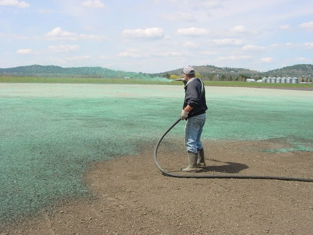 Top-rated landscaping services experts serving Rathdrum, ID - SSEC APEX