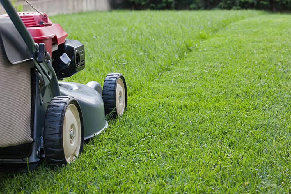 Top-rated yard cleanup service for beautiful yards across Ypsilanti, MI - SSJ Turf Titans