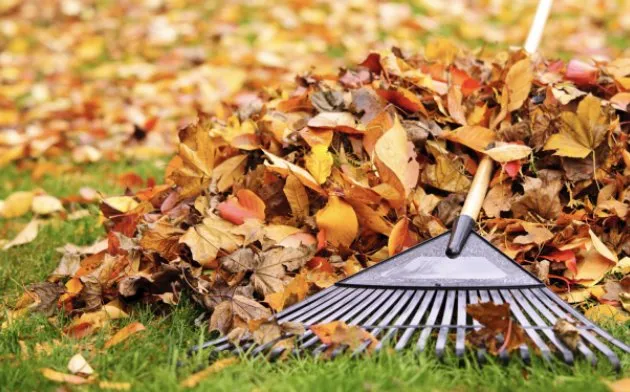 Expert lawn care service in Plainfield, IL - SSS Lawn and Snow