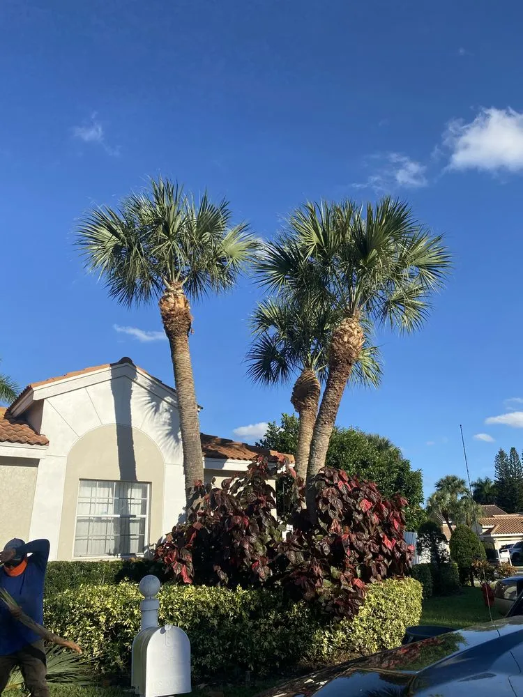 Top-rated residential landscaping for beautiful yards across Lake Worth, FL - Sss Lawn Services