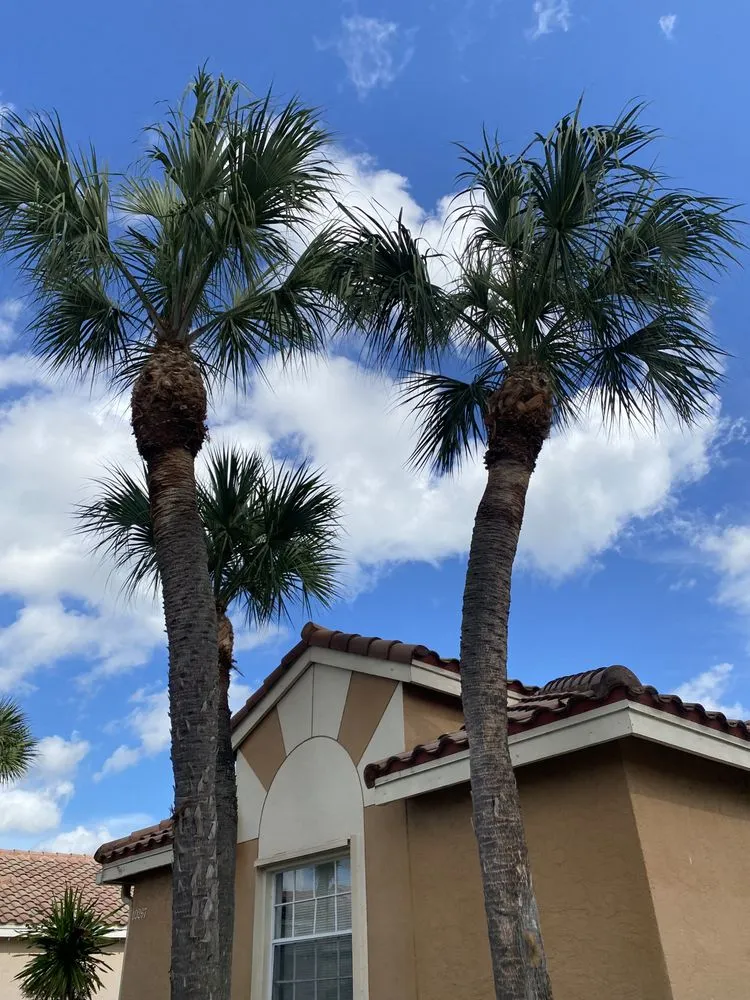 Affordable lawn care service in Lake Worth, FL by Sss Lawn Services