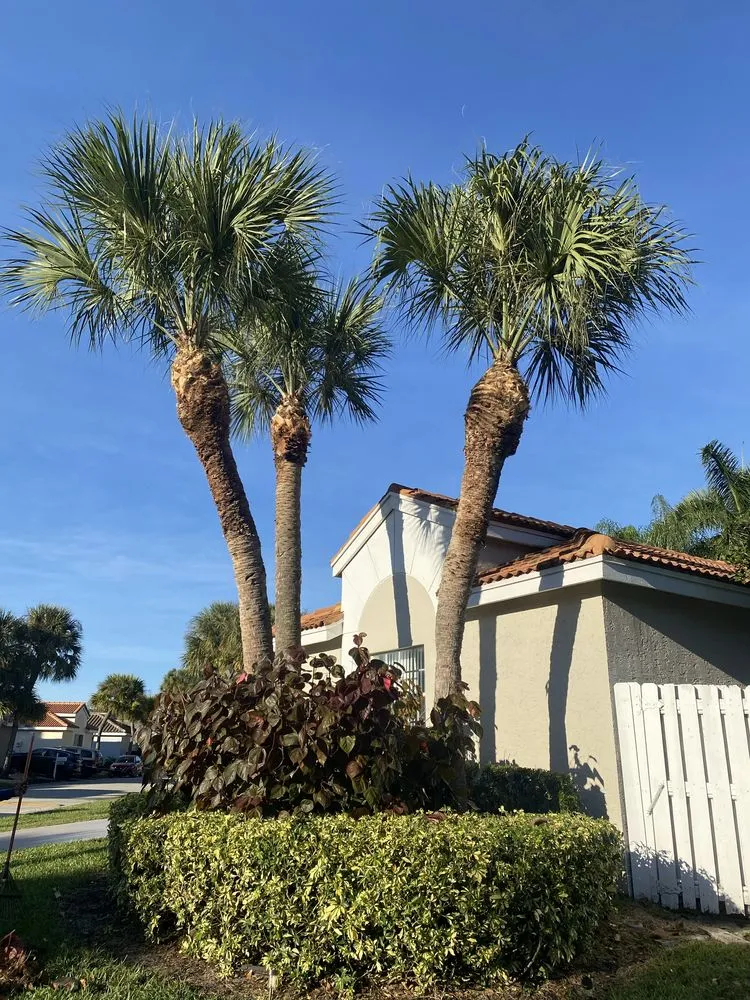 Reliable landscape installation in Lake Worth, FL by Sss Lawn Services