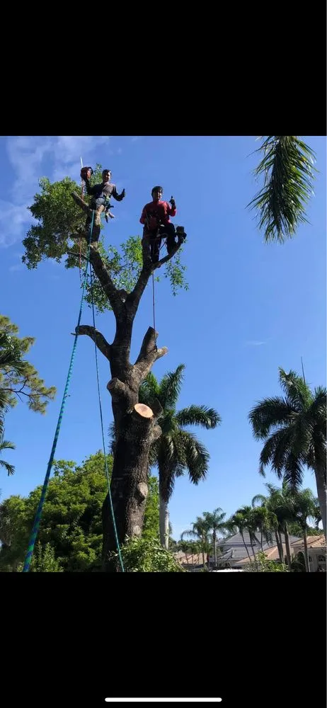 Local landscaping services for beautiful yards in Lake Worth, FL by Sss Lawn Services