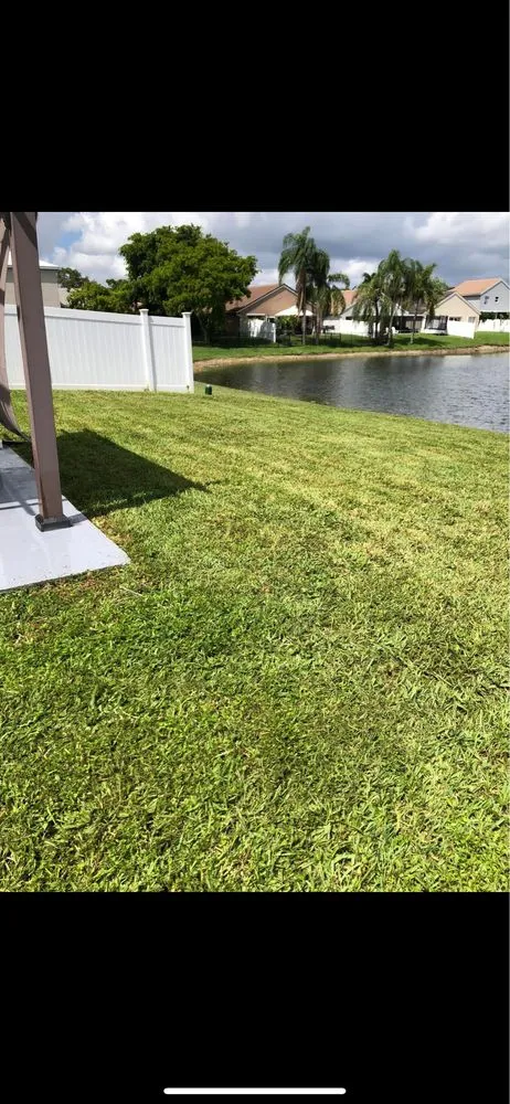 Expert yard cleanup service for year-round maintenance in Lake Worth, FL by Sss Lawn Services