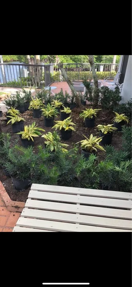 Custom lawn care service experts serving Lake Worth, FL - Sss Lawn Services