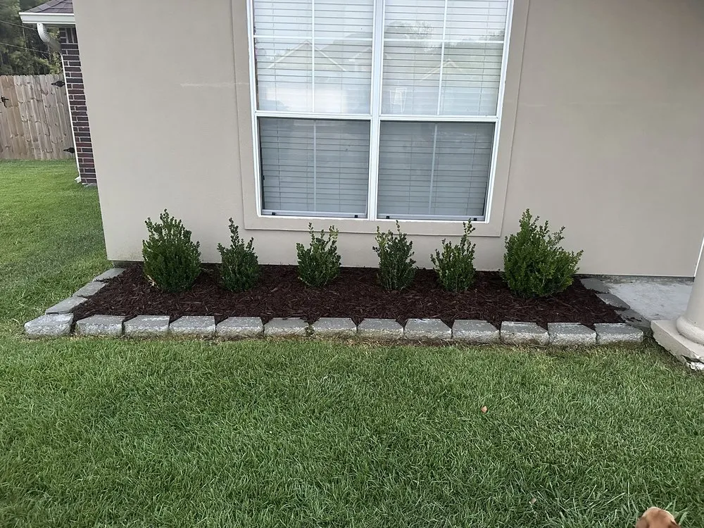 Reliable residential landscaping in Denham Springs, LA by St Angelo's Lawn Maintenance