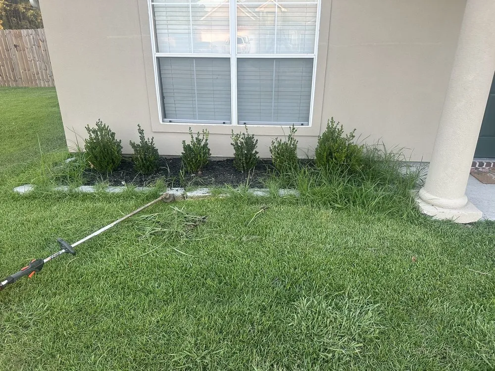 Local yard cleanup service in Denham Springs, LA - St Angelo's Lawn Maintenance
