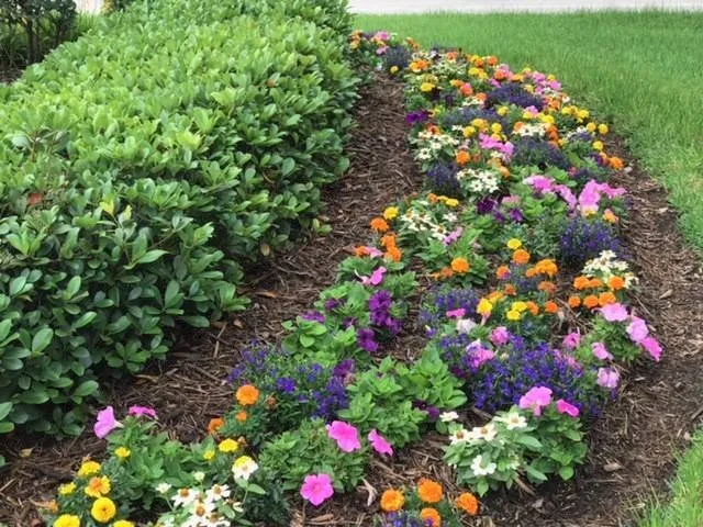 Reliable landscape design in Houston, TX - St Clair & Sons