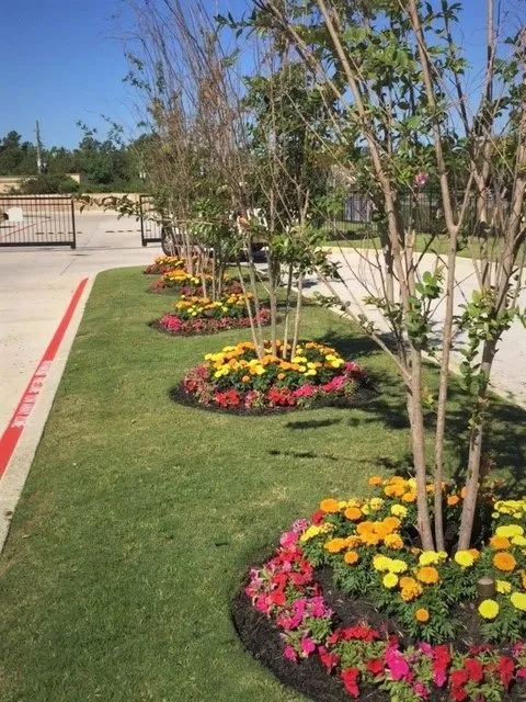 Expert lawn care service near you in Houston, TX by St Clair & Sons