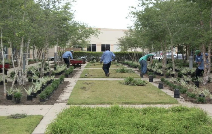 Affordable garden landscaping with custom design in Houston, TX by St Clair & Sons