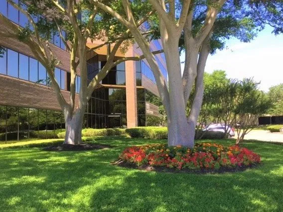 Top-rated landscape design in Houston, TX by St Clair & Sons