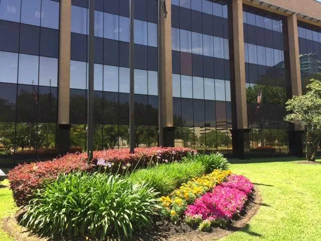 Professional lawn care service for homes across Houston, TX - St Clair & Sons