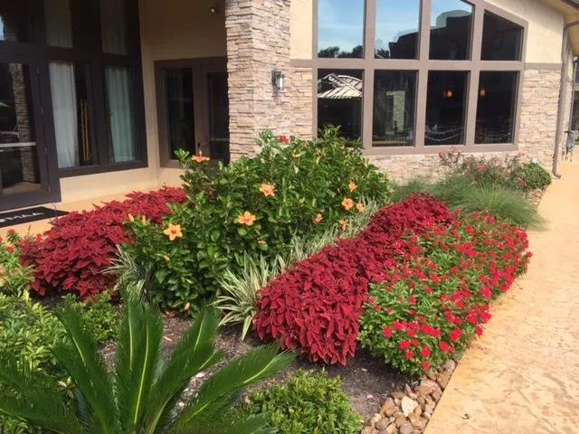 Reliable landscape design experts serving Houston, TX - St Clair & Sons