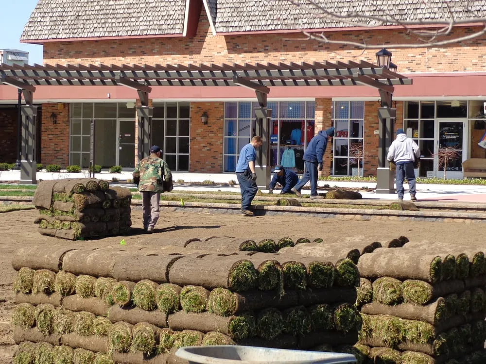 Top-rated yard cleanup service experts serving East China, MI - St Clair Landscape & Irrigation