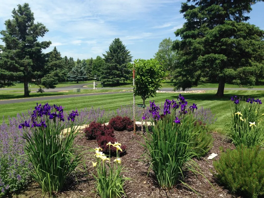 Top-rated lawn mowing service in Stillwater, MN - St Croix Valley Lawn & Pool