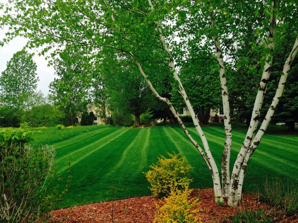 Affordable yard cleanup service experts serving Stillwater, MN - St Croix Valley Lawn & Pool