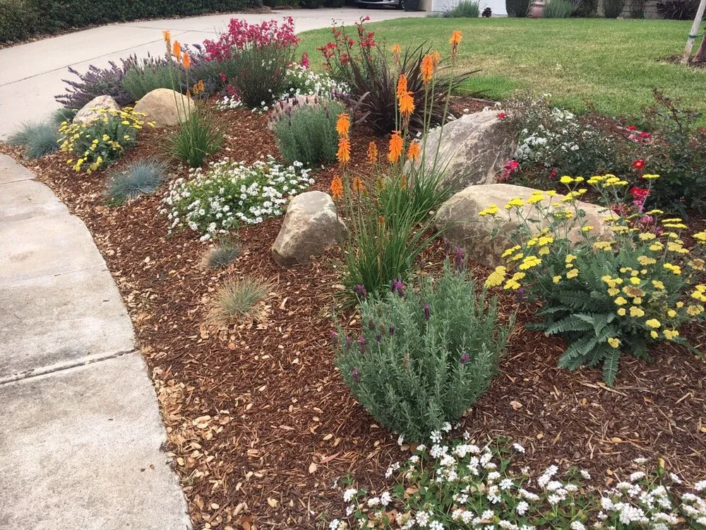 Affordable lawn mowing service for beautiful yards in San Luis Obispo, CA by St Francis Landscape & Gardening