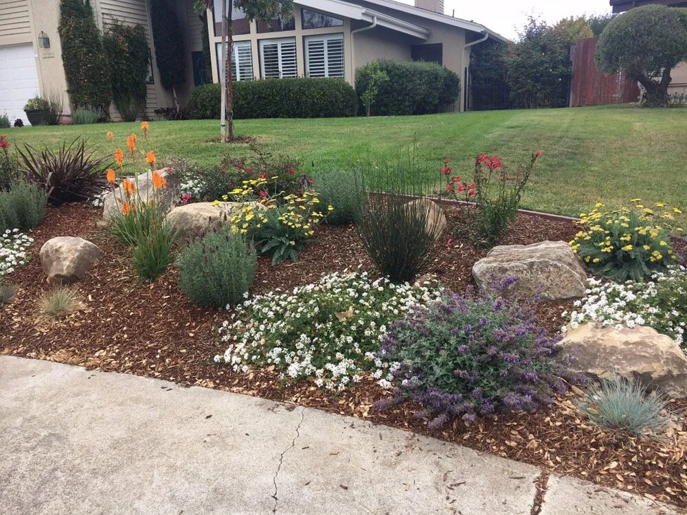 Reliable yard maintenance in San Luis Obispo, CA - St Francis Landscape & Gardening
