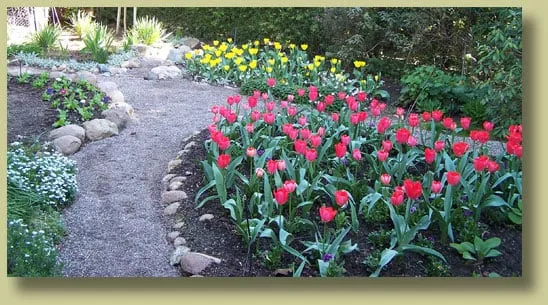 Affordable yard cleanup service for year-round maintenance across San Luis Obispo, CA - St Francis Landscape & Gardening