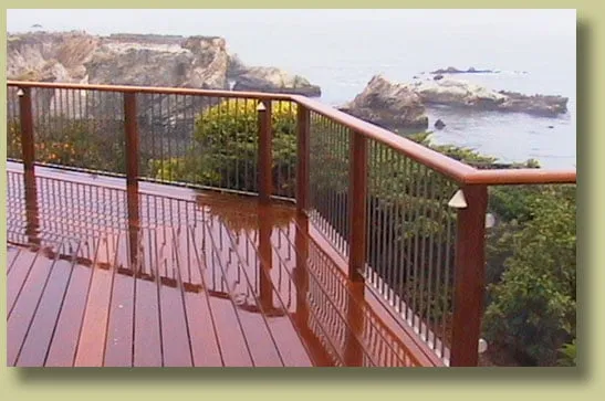 Affordable landscaping services for year-round maintenance in San Luis Obispo, CA by St Francis Landscape & Gardening