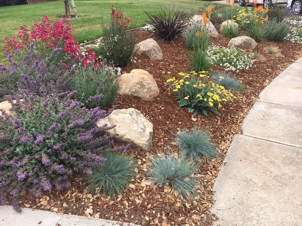 Local landscape design for beautiful yards in San Luis Obispo, CA by St Francis Landscape & Gardening