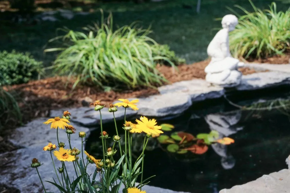 Custom landscaping services experts serving Callao, VA - St. George Landscape Design