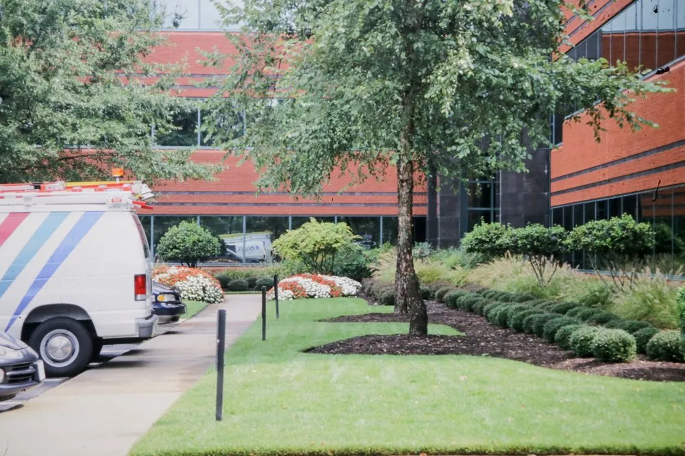 Top-rated yard maintenance experts serving Callao, VA - St. George Landscape Design