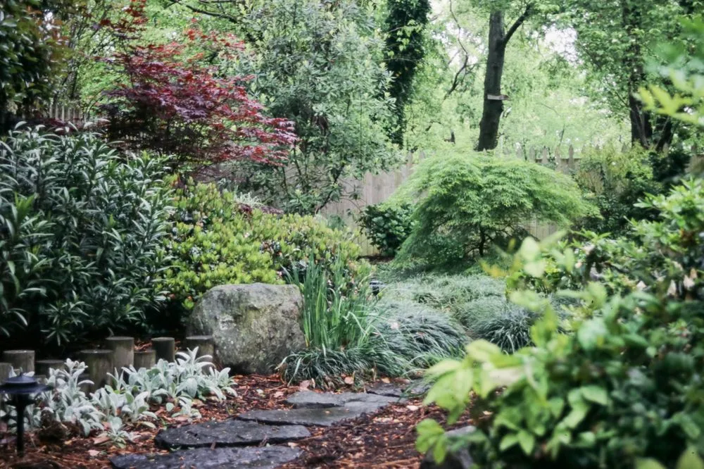 Professional yard cleanup service for homes across Callao, VA - St. George Landscape Design
