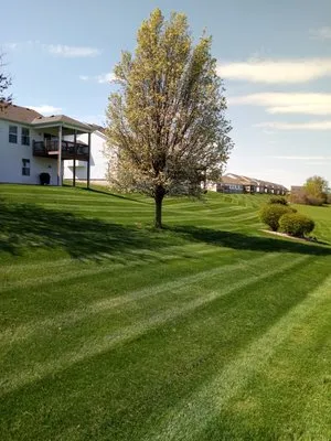 ST. JOE MOWING SOLUTIONS Logo