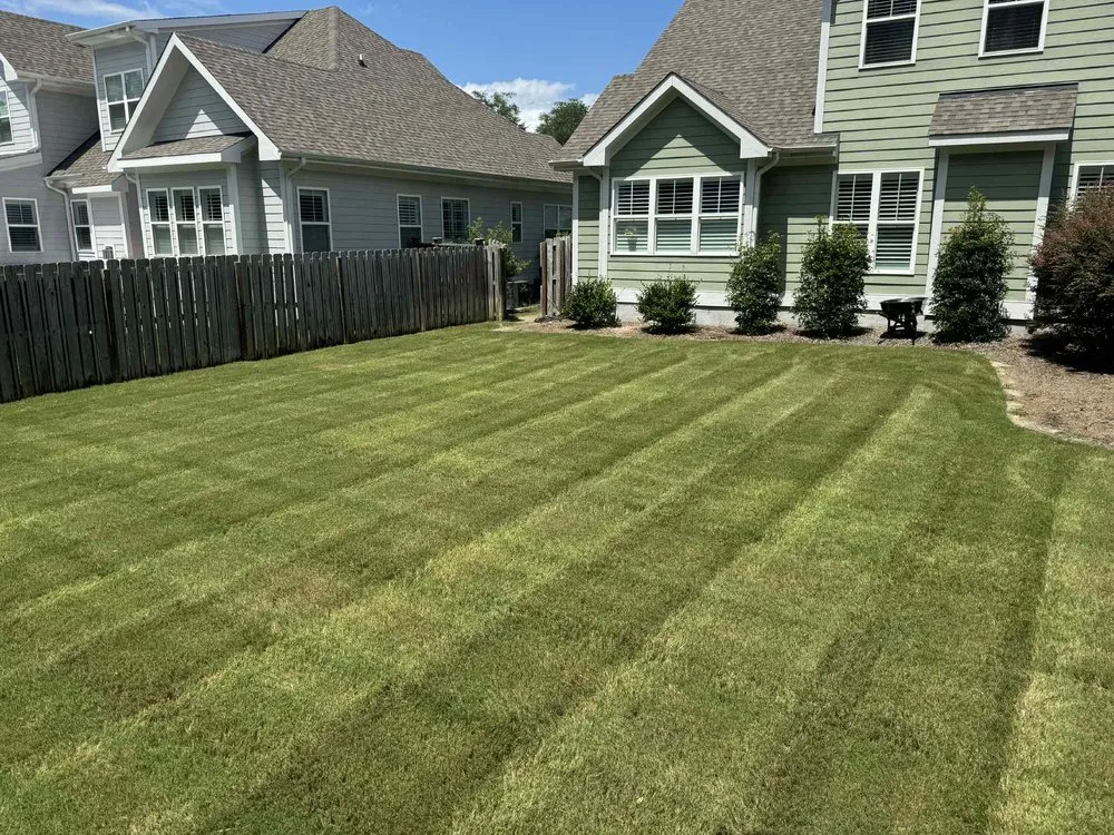 Expert yard cleanup service in Wilmington, NC by St John’s Lawn & Landscape