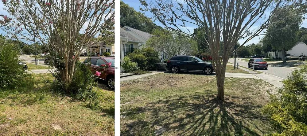 Affordable residential landscaping for beautiful yards in Wilmington, NC by St John’s Lawn & Landscape