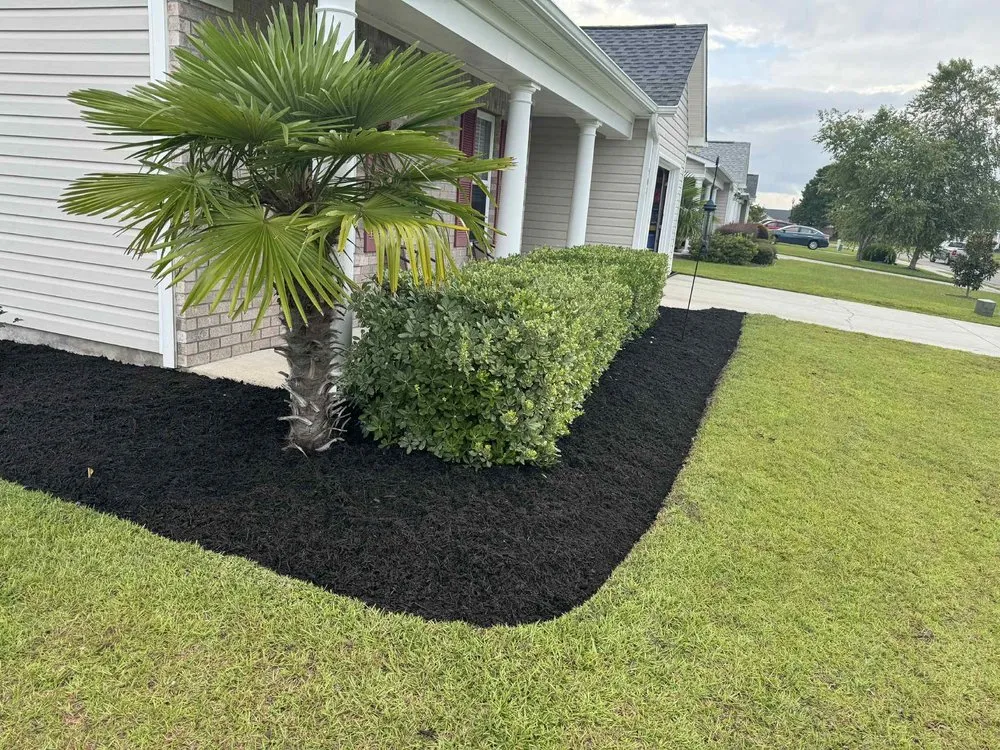 Affordable residential landscaping in Wilmington, NC by St John’s Lawn & Landscape