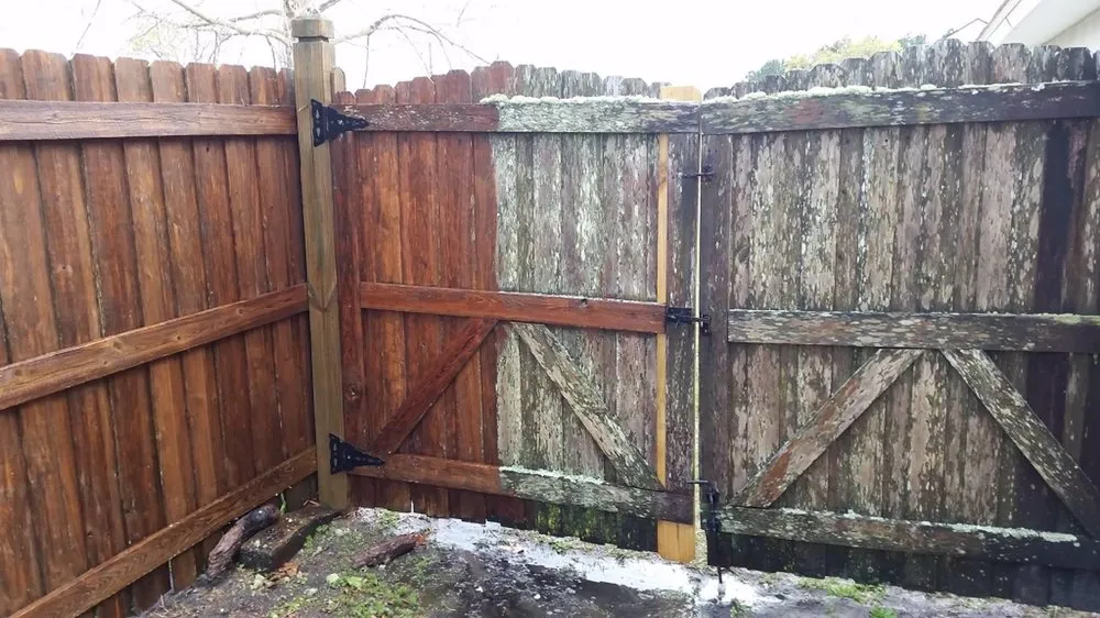 Custom lawn care service in Saint Augustine, FL by St. Johns Lawn & Landscaping