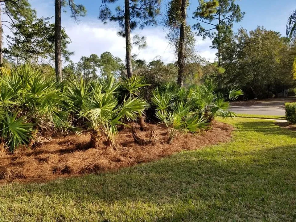 Affordable lawn care service in Saint Augustine, FL - St. Johns Lawn & Landscaping