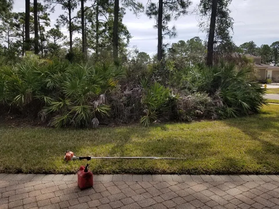 Trusted lawn care service in Saint Augustine, FL - St. Johns Lawn & Landscaping